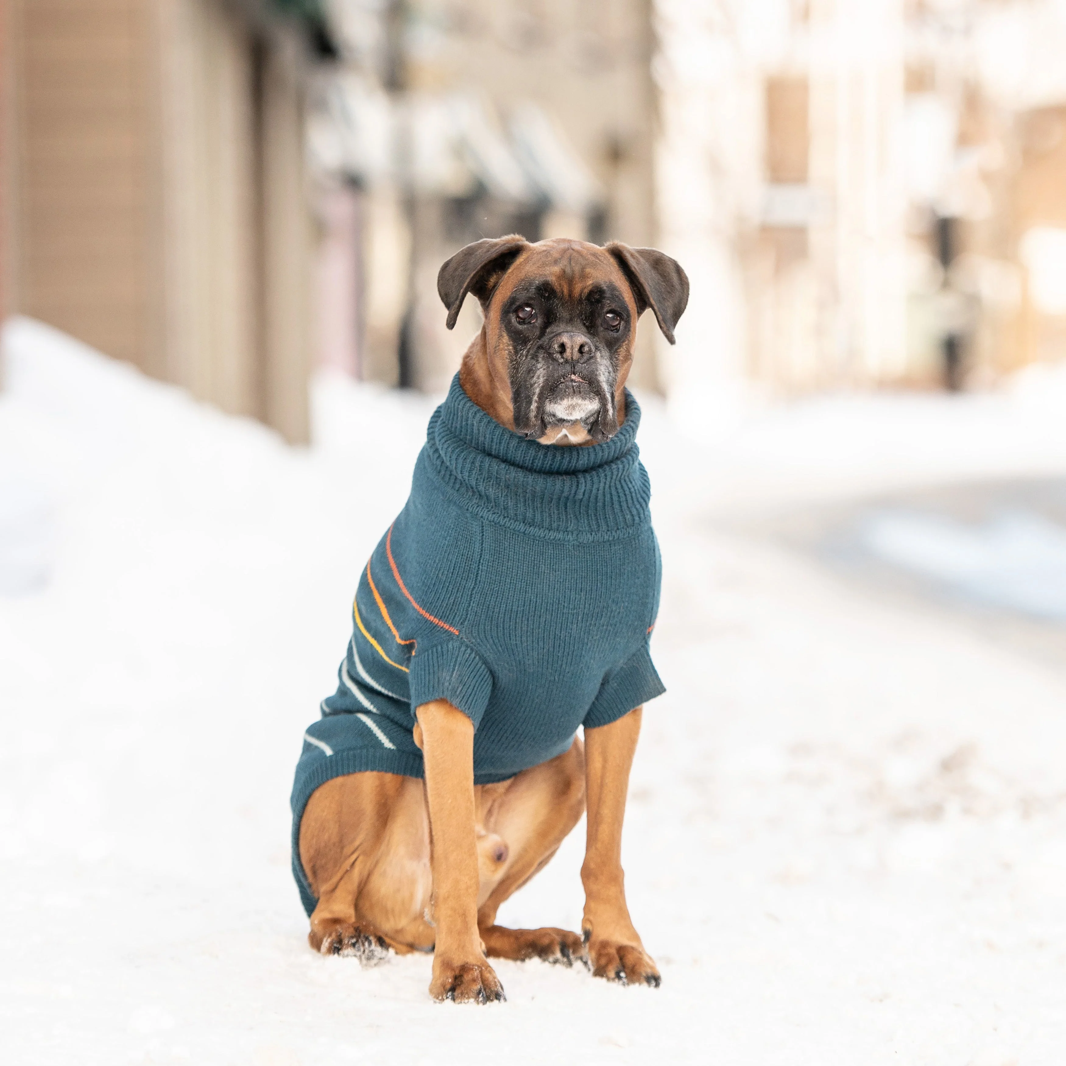 Arctic Sweater - Teal - Image 5