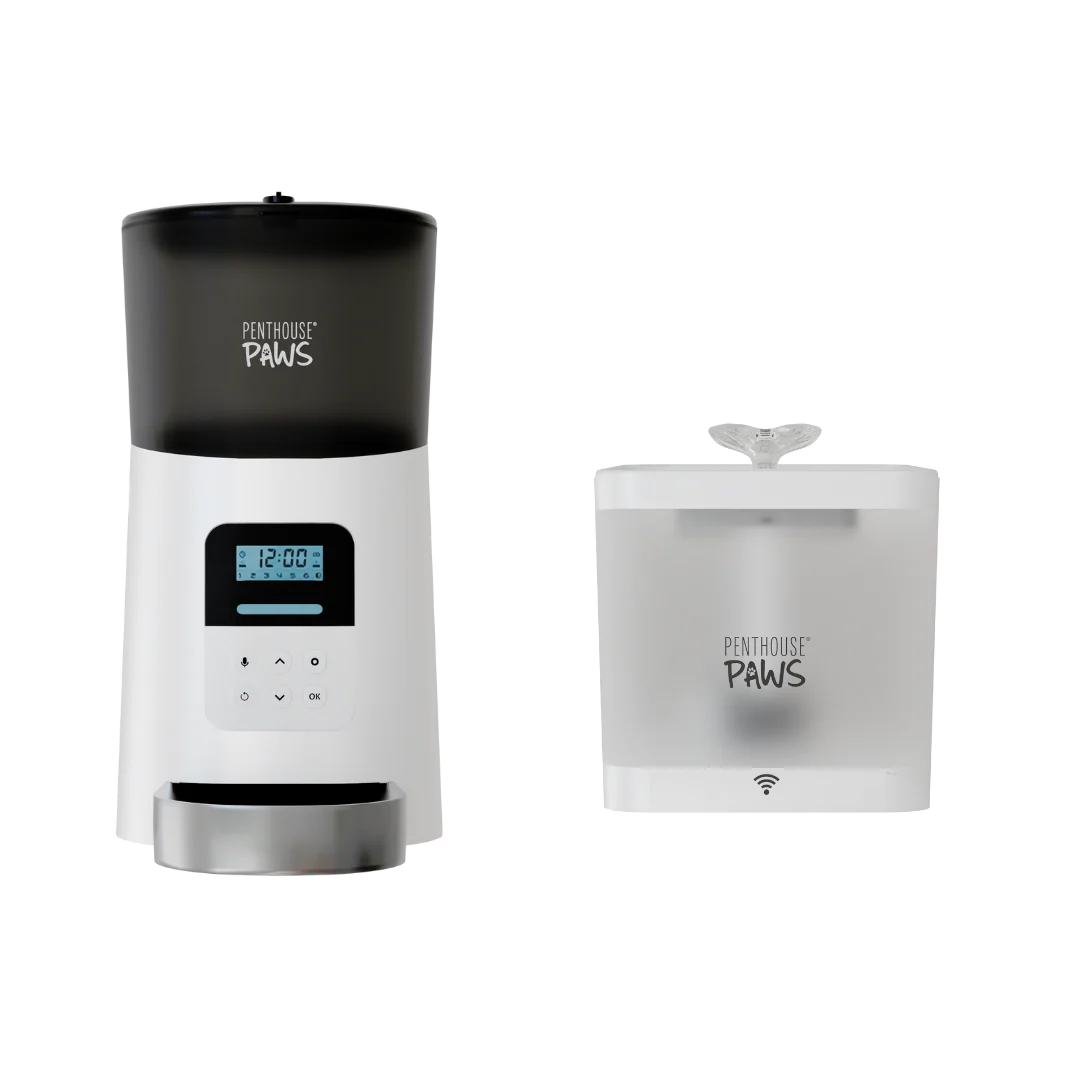 Automatic Cat Feeder & Smart Water Fountain - Image 4