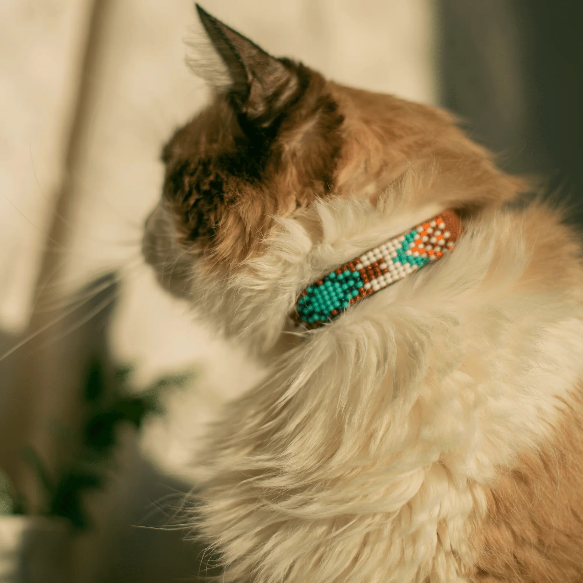 Aztec Sambboho cat collar - Image 7