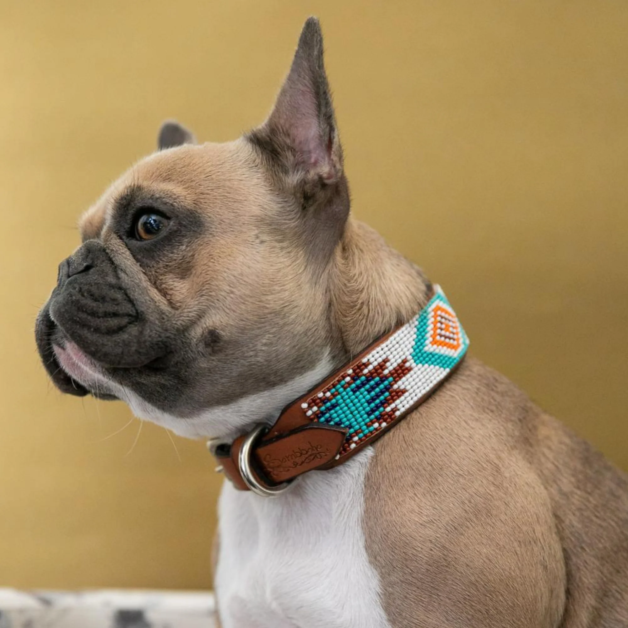 Aztec Sambboho dog collar - Image 6