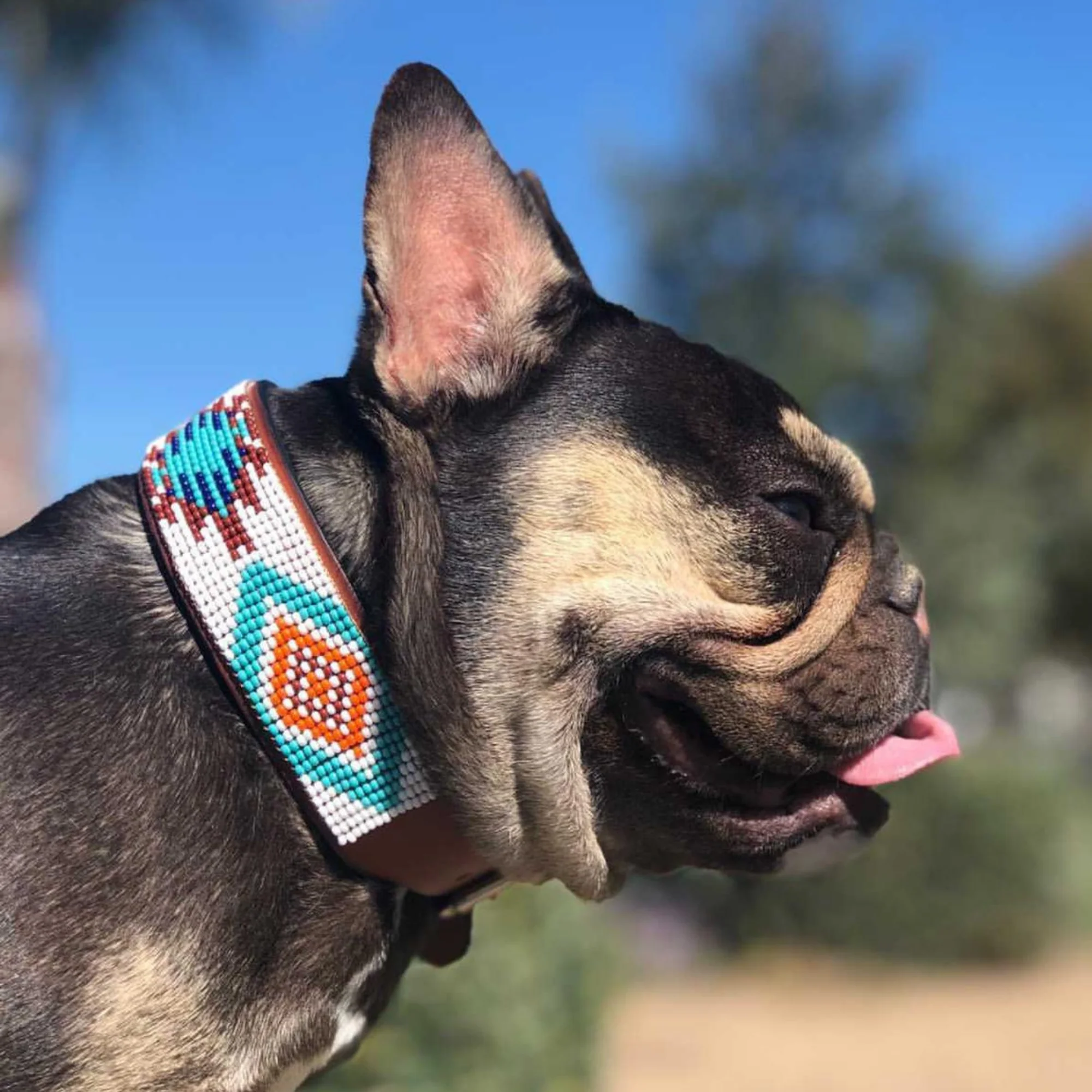 Aztec Sambboho dog collar - Image 7