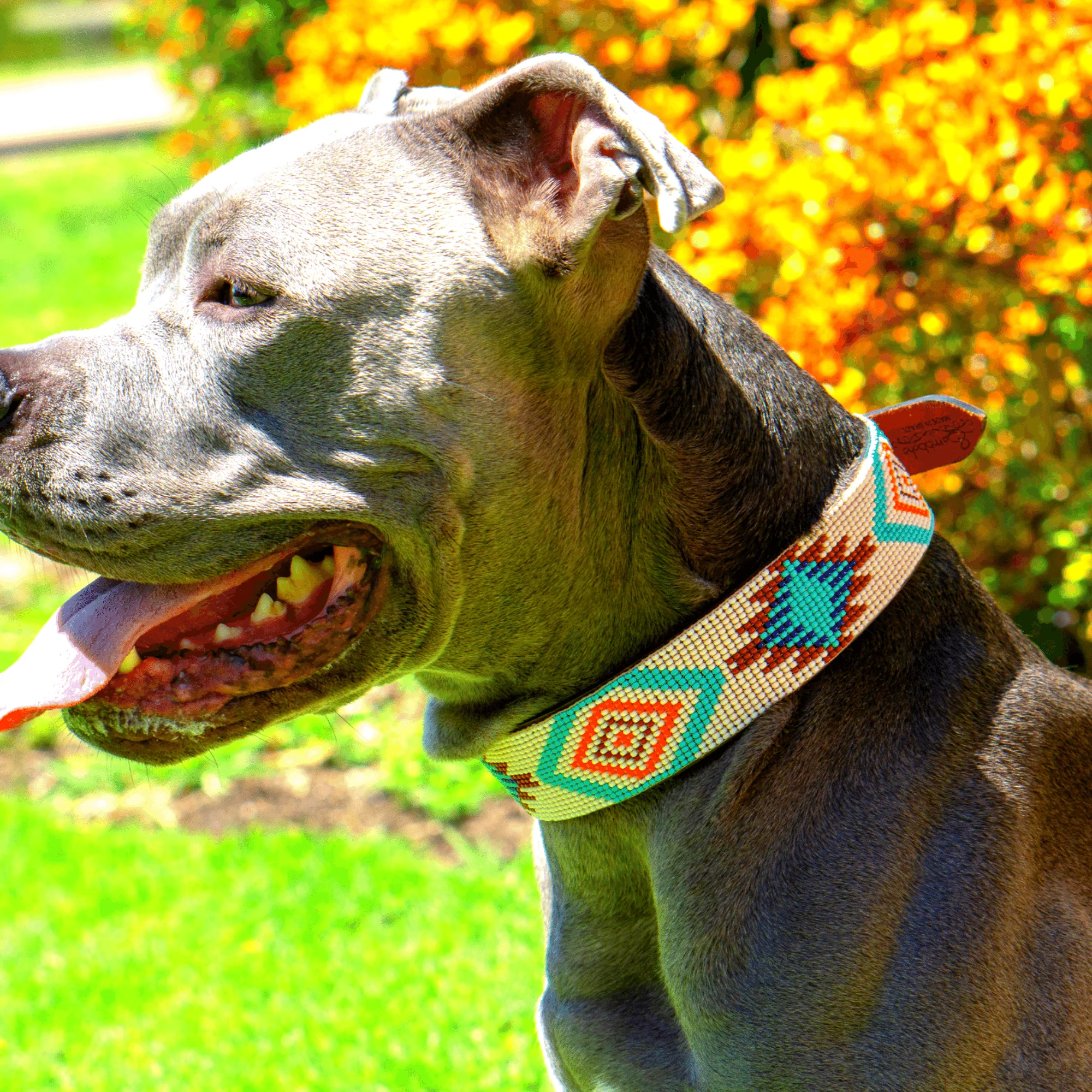 Aztec Sambboho dog collar - Image 8
