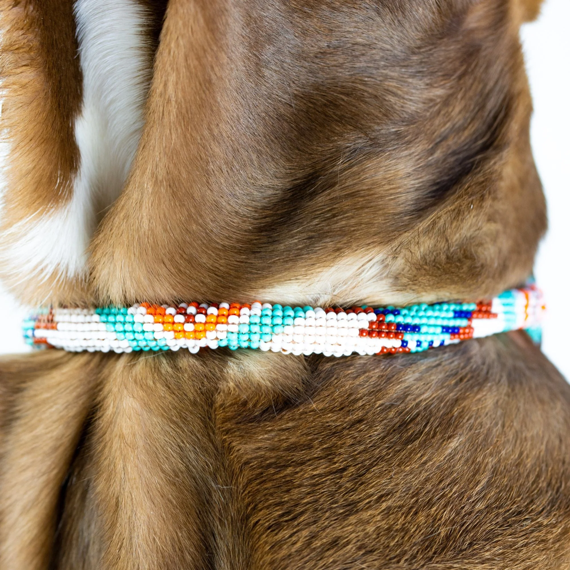 Aztec Sambboho dog collar (rolled) - Image 3