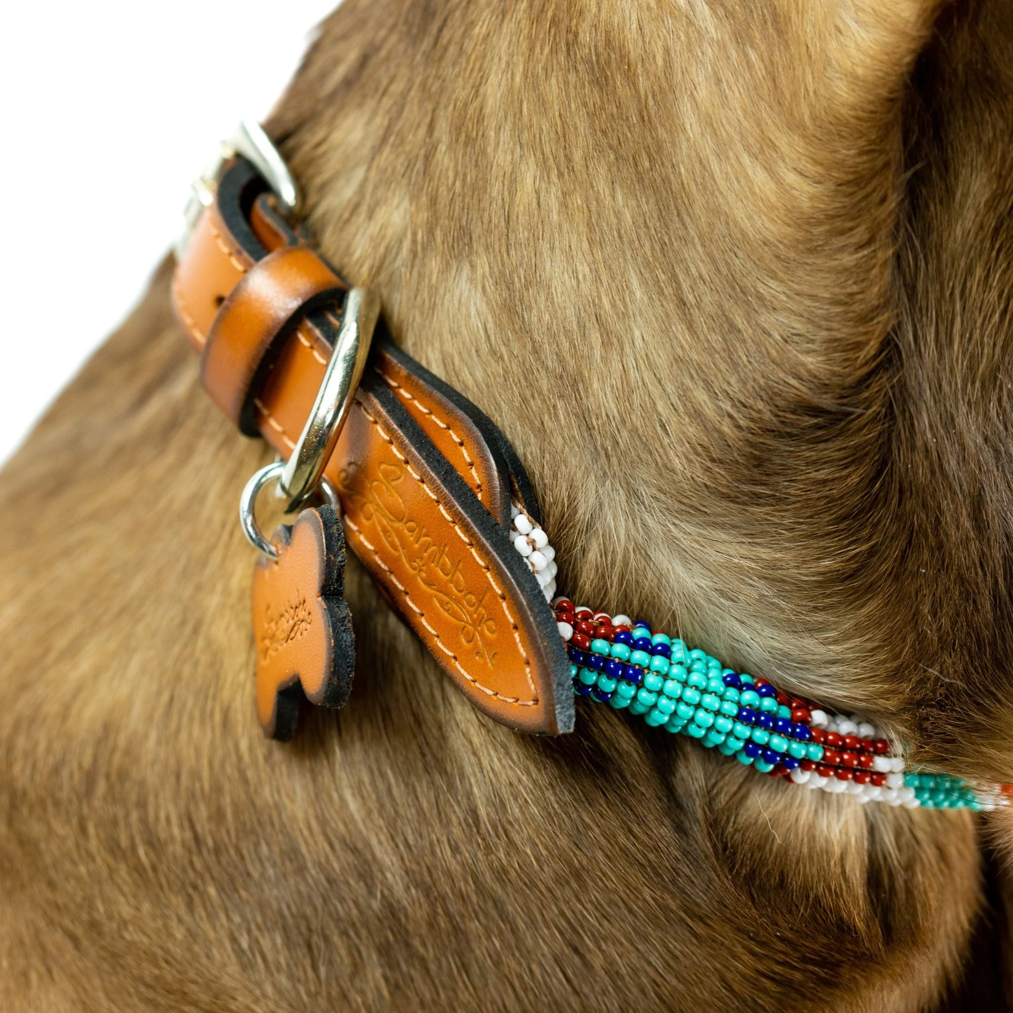 Aztec Sambboho dog collar (rolled) - Image 5