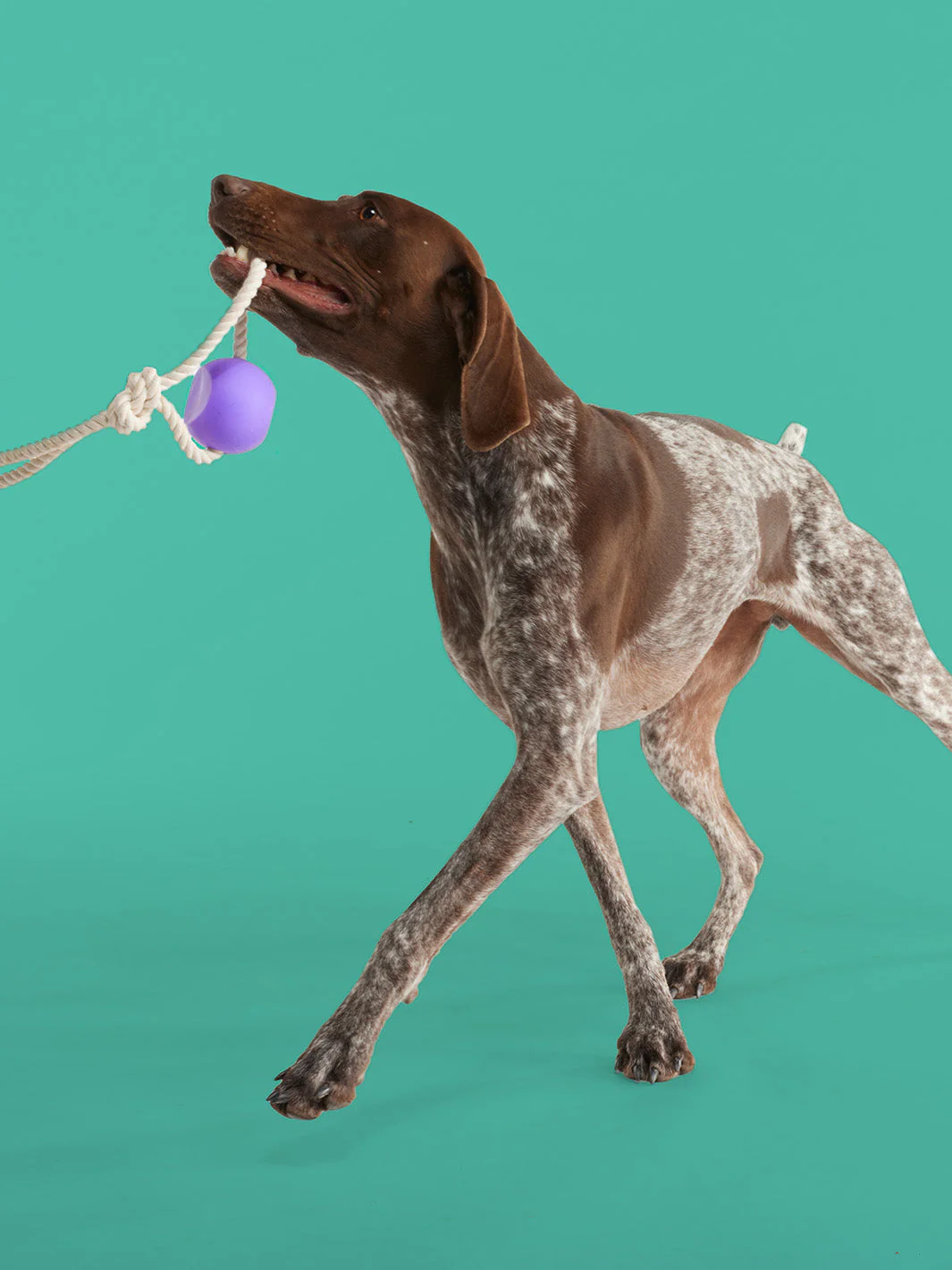 BallRope - Image 2
