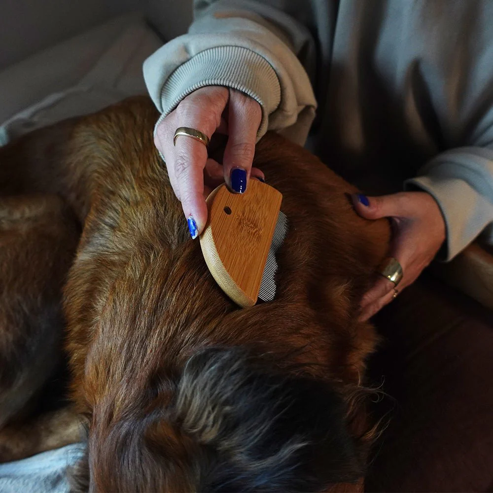 Tilley + Me Bamboo Flea Comb for Dogs & Cats – Gentle & Eco-Friendly - Image 3