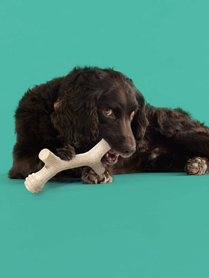 Barkin' Bone - Image 2