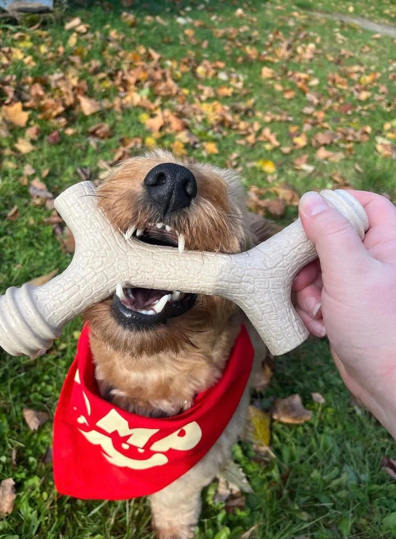 Barkin' Bone - Image 6