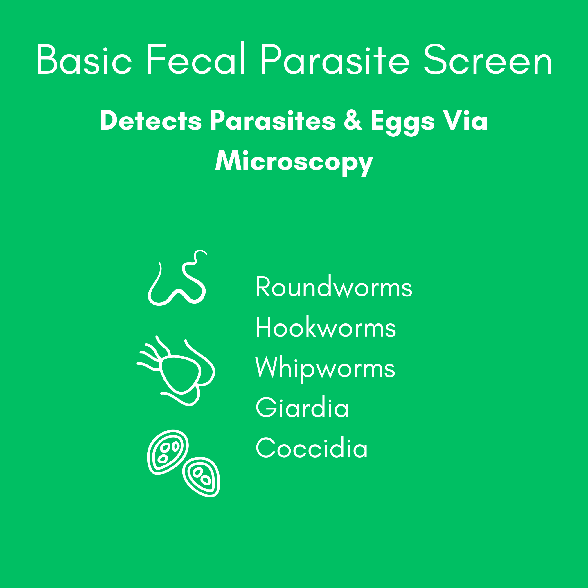 Basic Fecal Parasite Screen + Giardia ELISA Mail in Lab Test for Cats & Dogs: At-Home Testing - Image 3