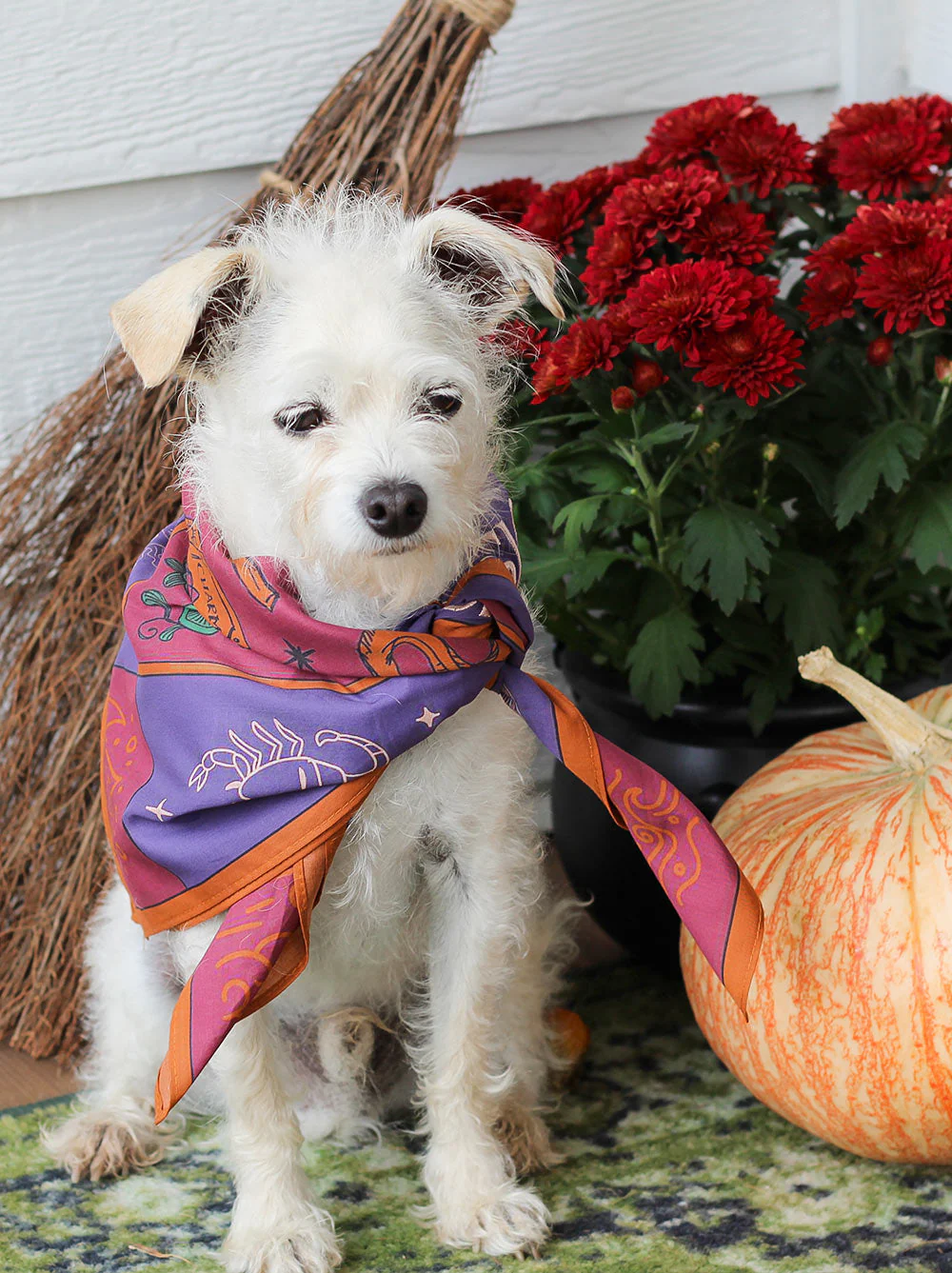 Basic Witch Bandana - Image 6