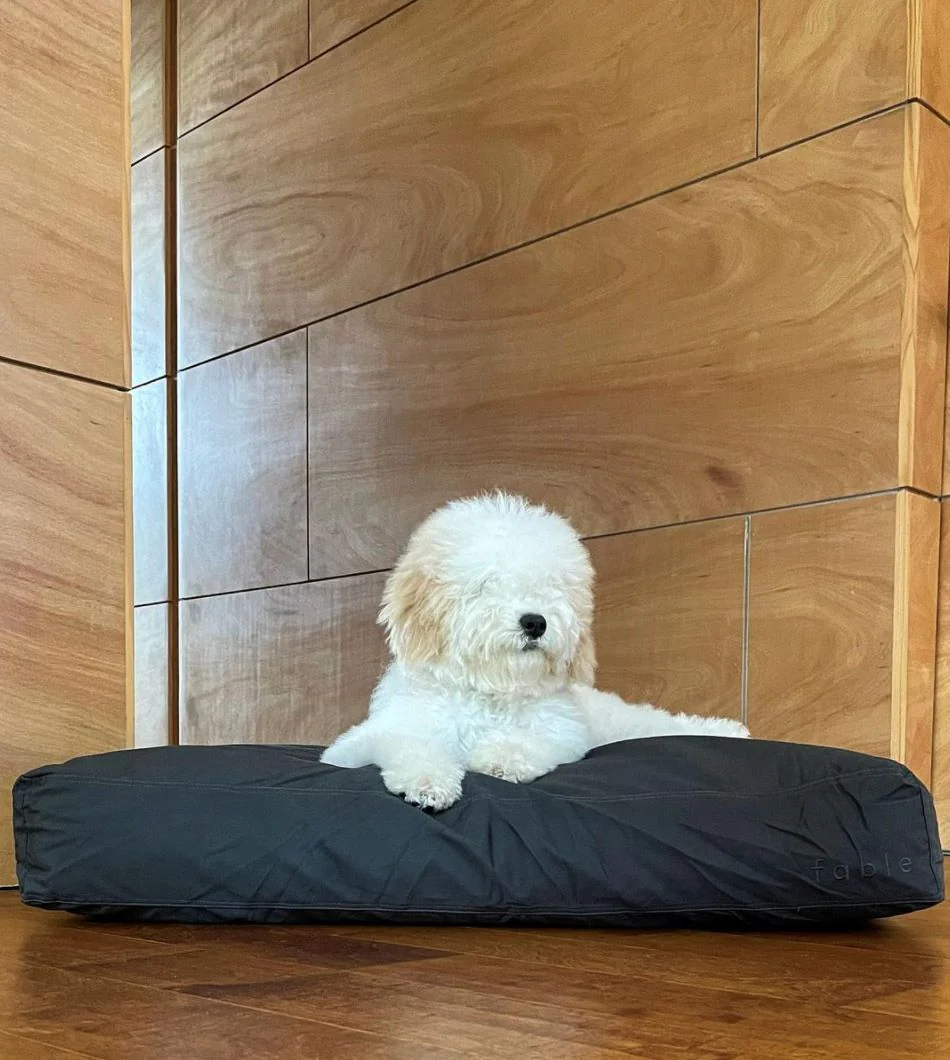 Bed - Image 33