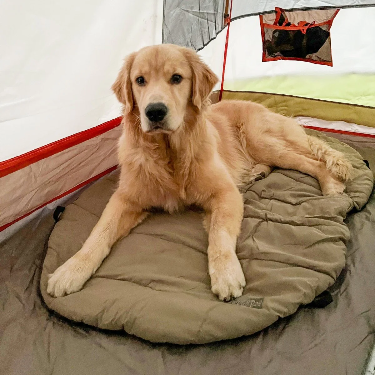 Bed 'n a Bag Travel Dog Bed - Image 8