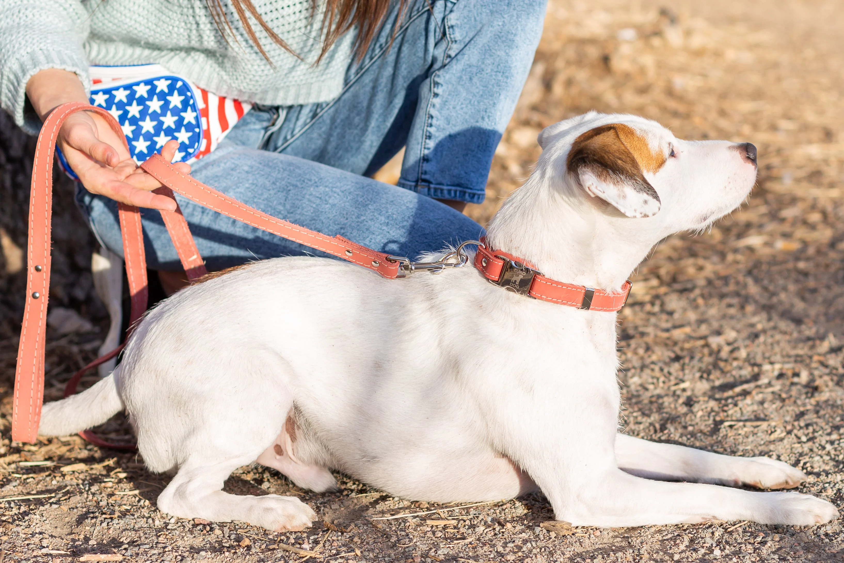 Pro Line Quick-Release Coral Reef Leather Dog Collar with Metal Buckle - Image 4