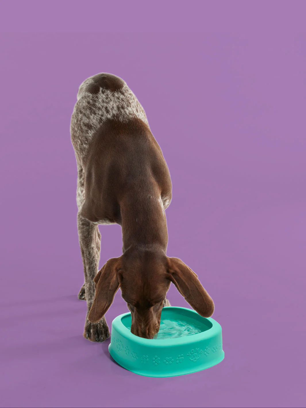 BetterBowl - Image 3