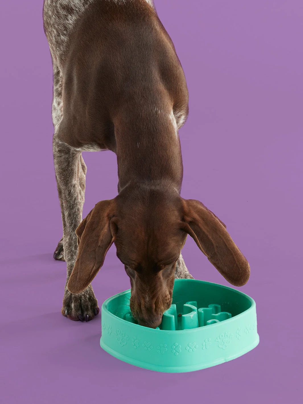 BetterFeeder - Image 2