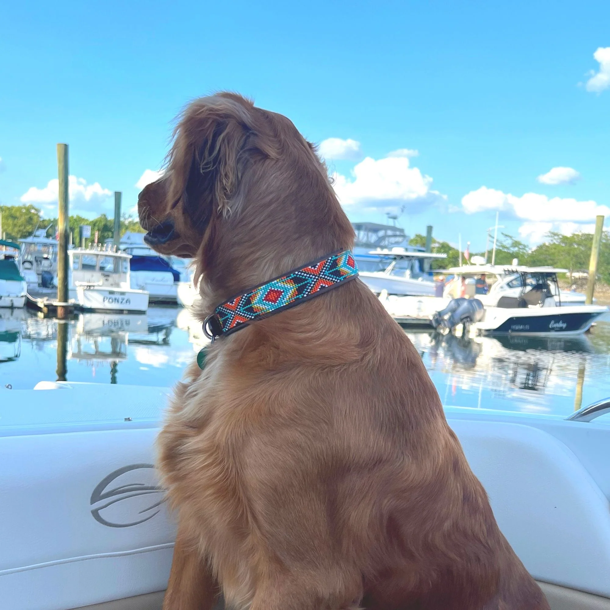 Biarritz Sambboho dog collar - Image 3