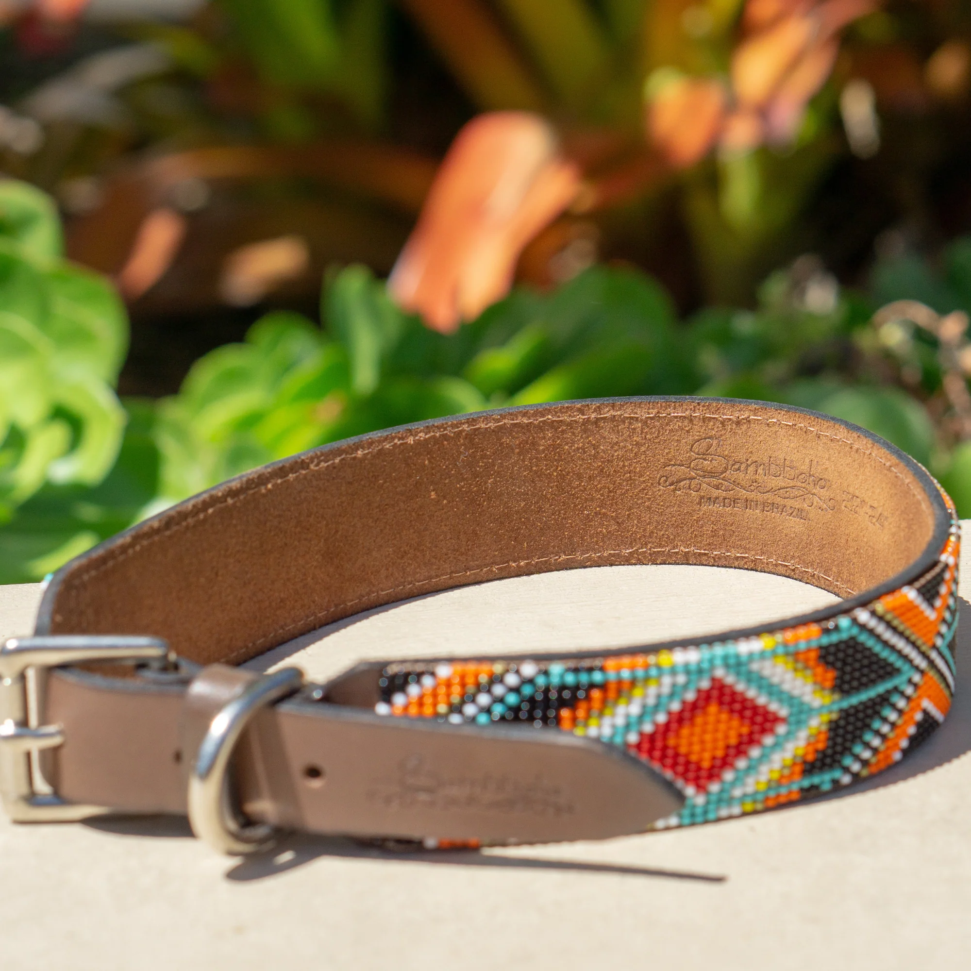 Biarritz Sambboho dog collar - Image 5