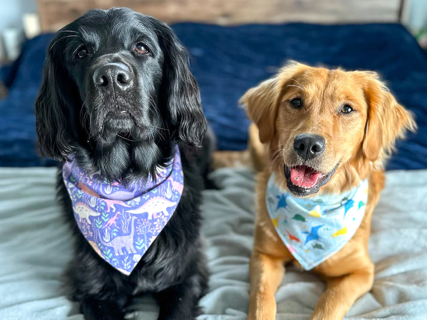 "Big Valentine Hearts" Dog Bandana - Image 4