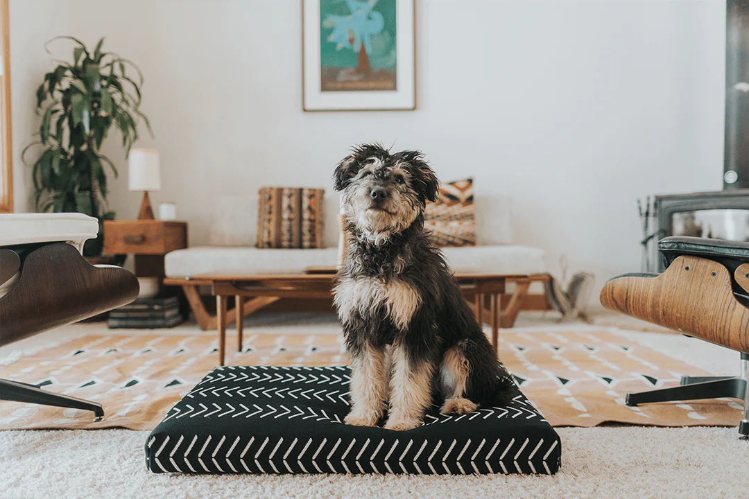 Black Chevron | Boho Dog Bed or Bed Cover - Image 4