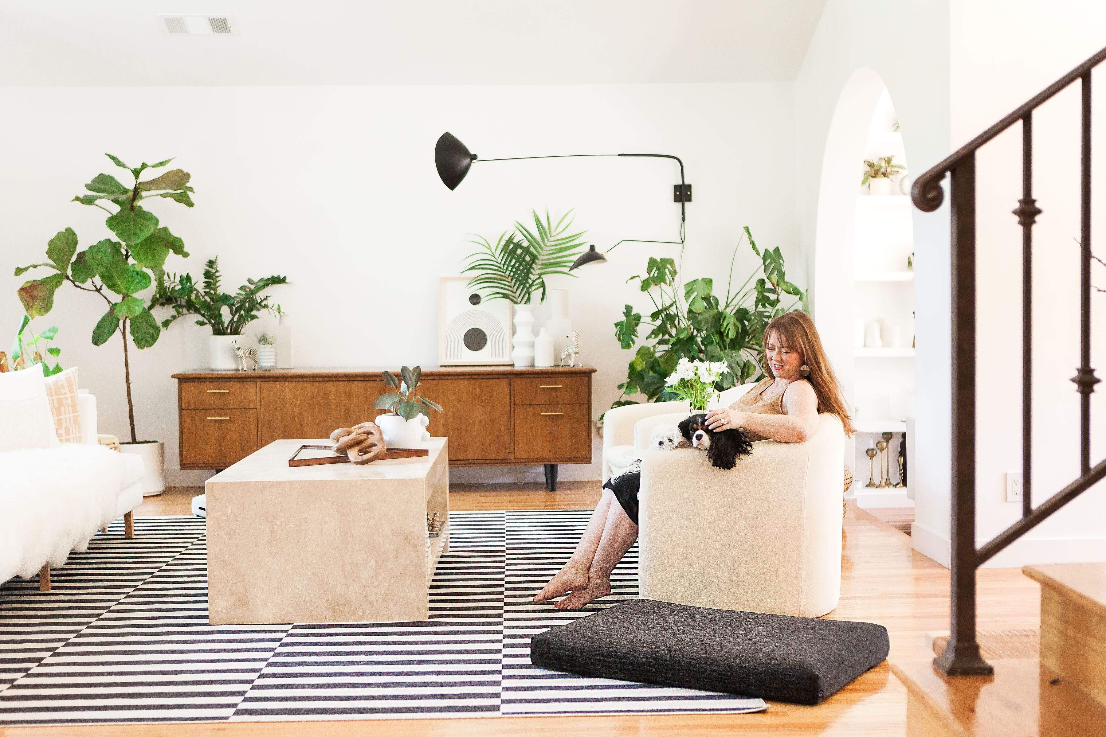 Black Dog Bed | Modern Dog Bed or Bed Cover - Image 4