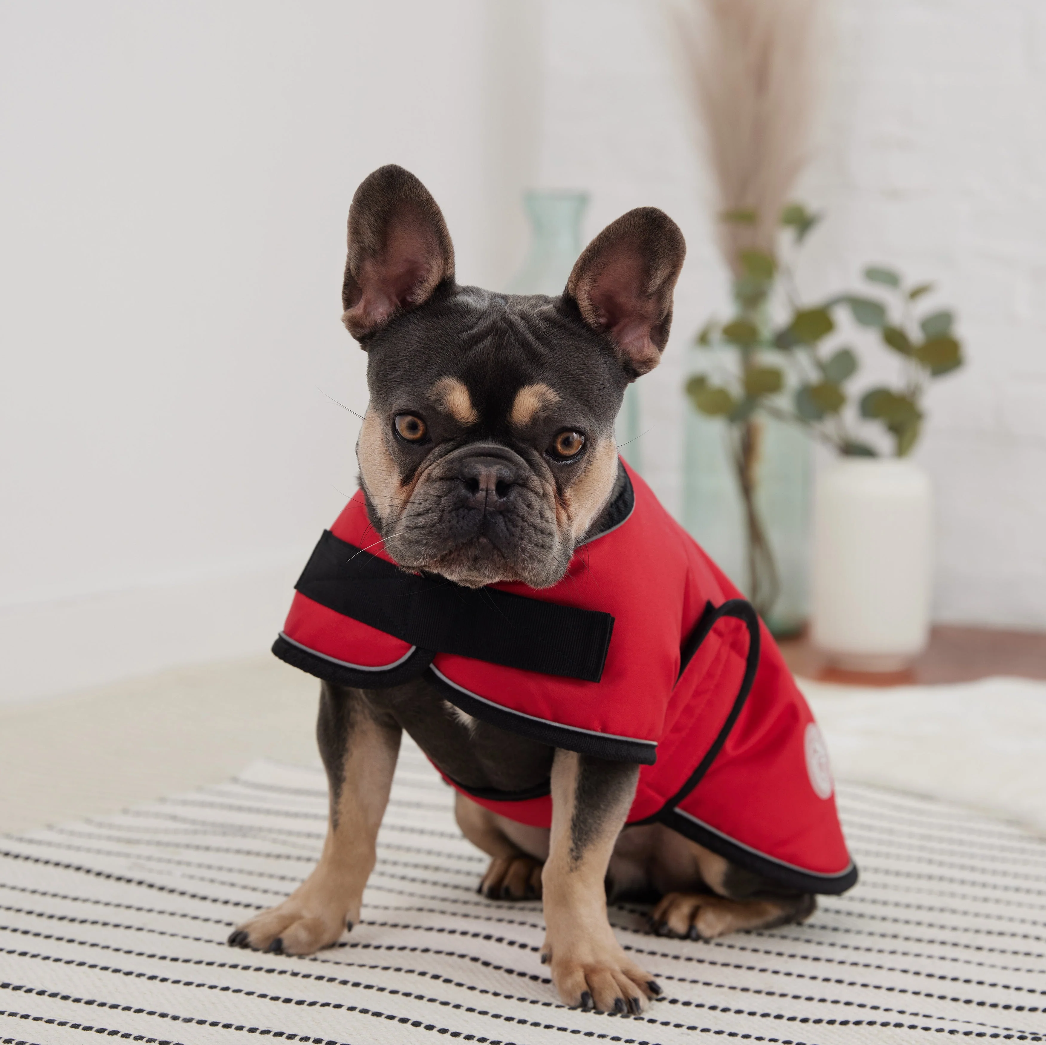 Blanket Jacket - Red - Image 3