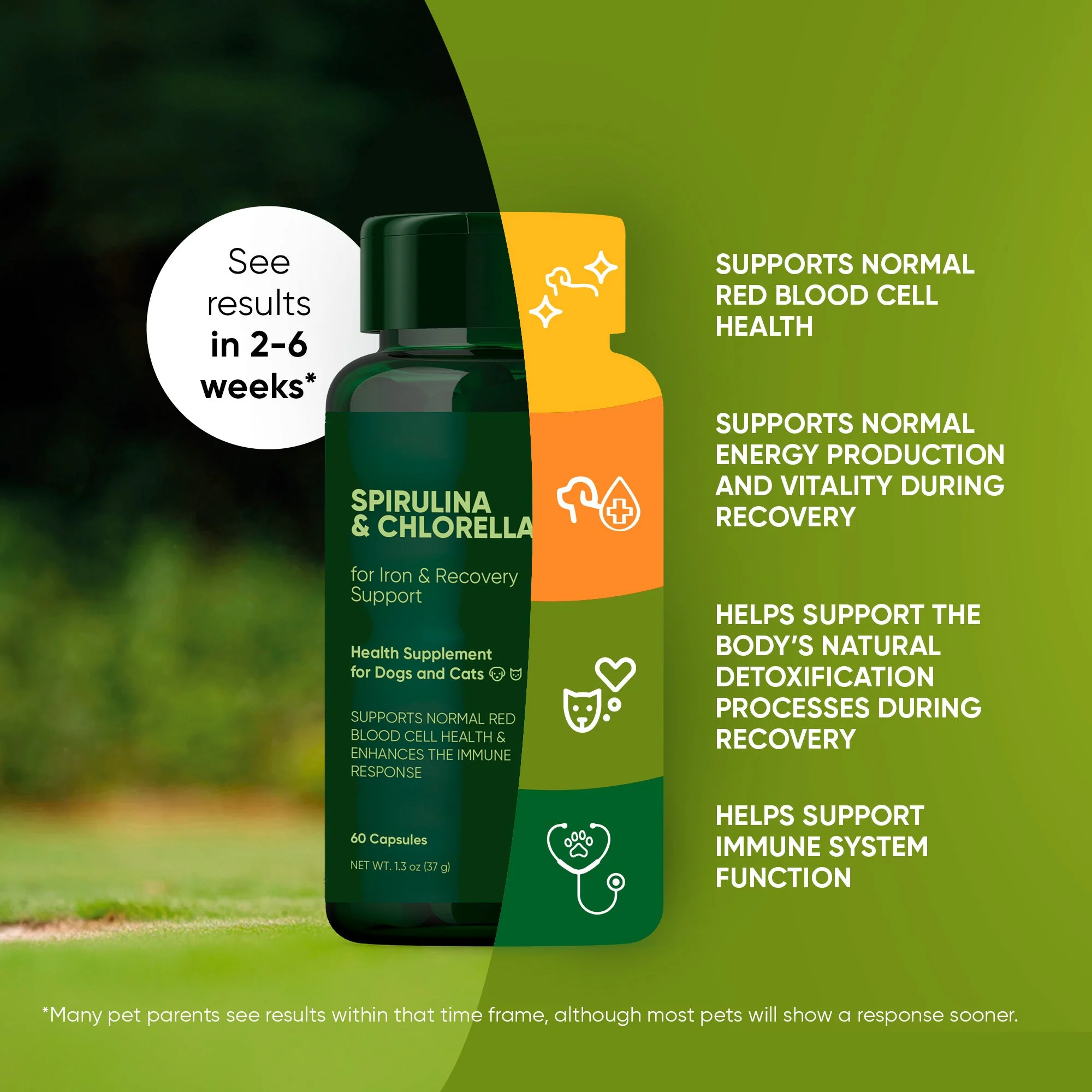 Blood Support - Image 17