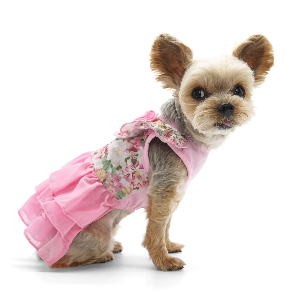 Blossom Dress - Image 6