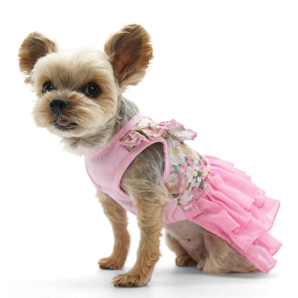 Blossom Dress - Image 7