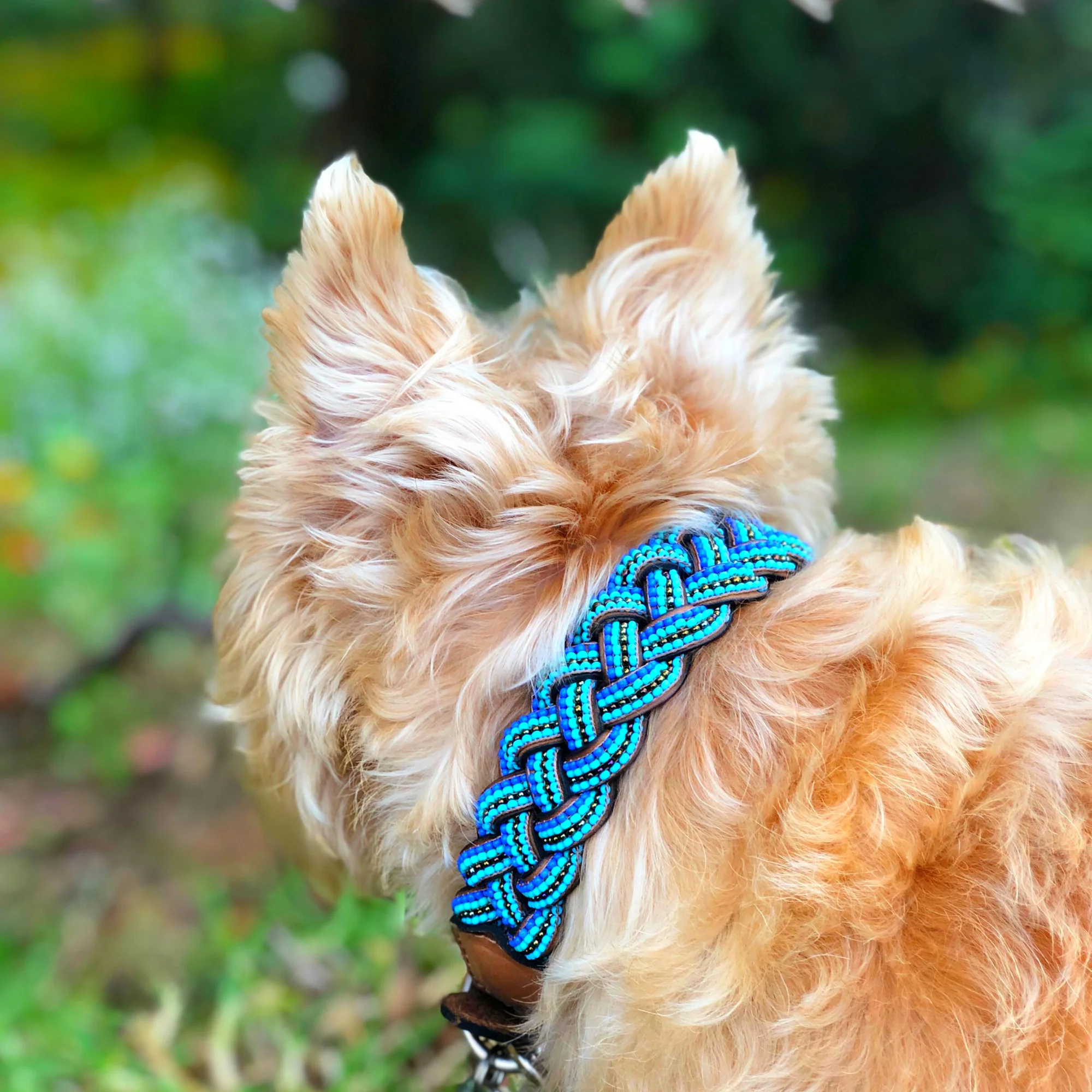 Blue Braided Sambboho dog collar - Image 7