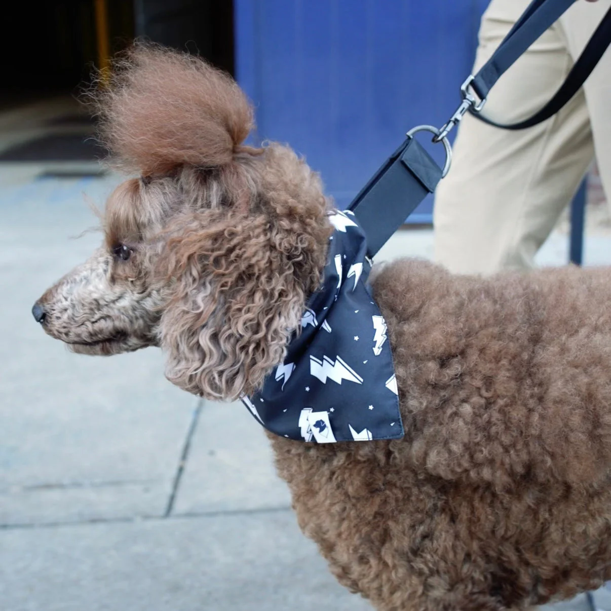 Blue Moon & Lightning Dog Bandana - Image 4