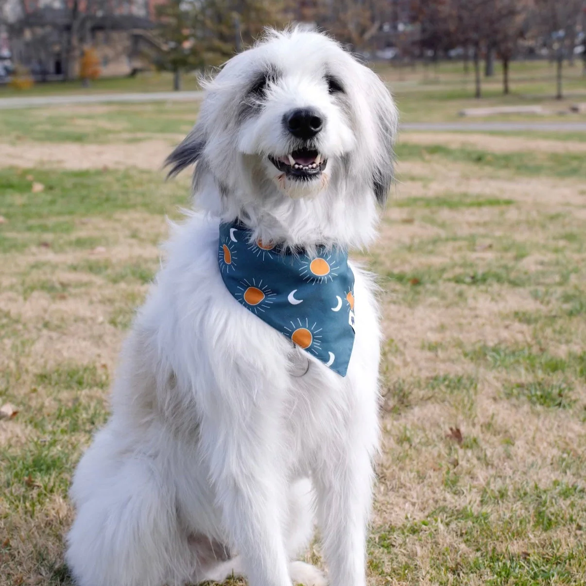 Blue Moon & Lightning Dog Bandana - Image 5