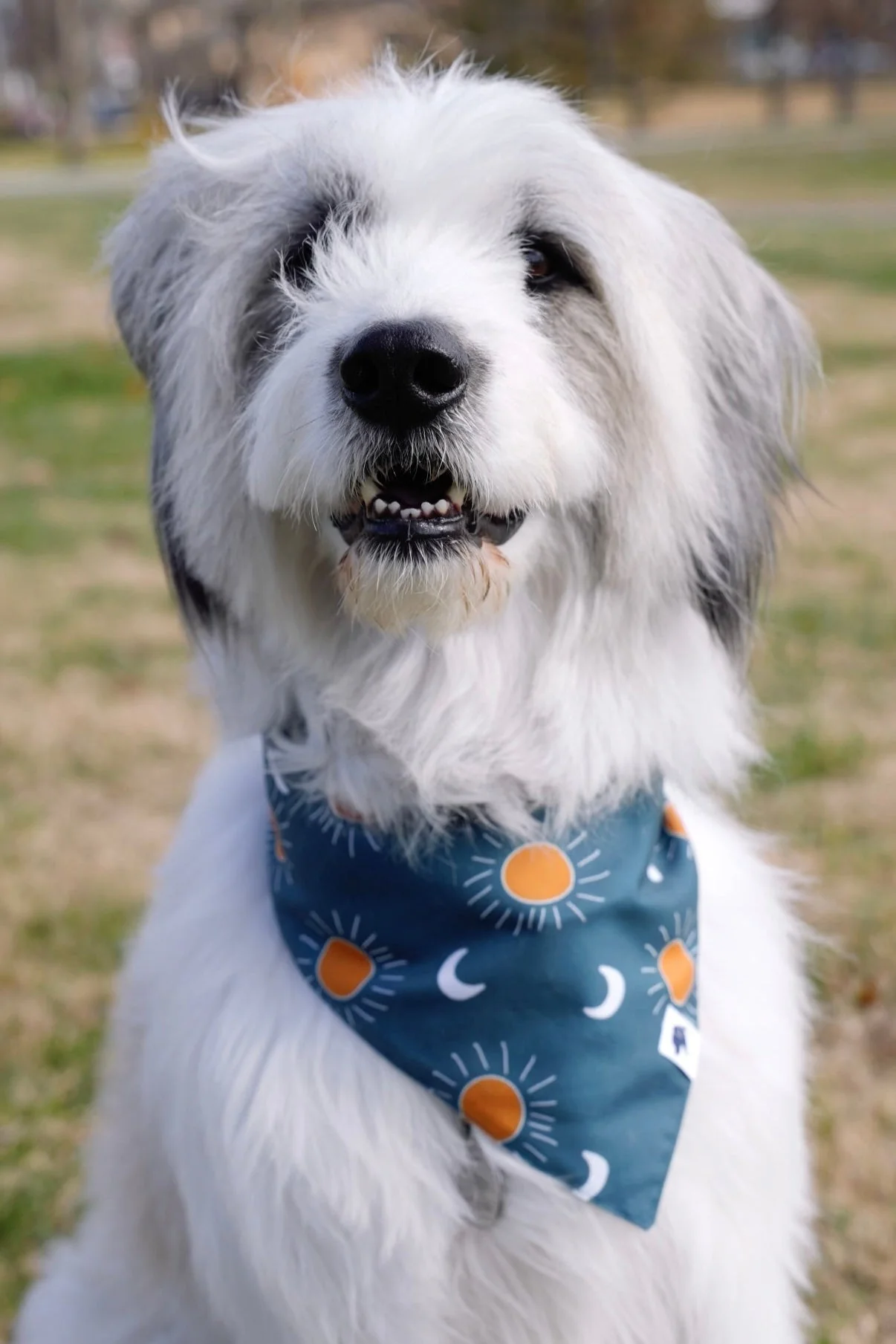 Blue Moon & Lightning Dog Bandana - Image 6