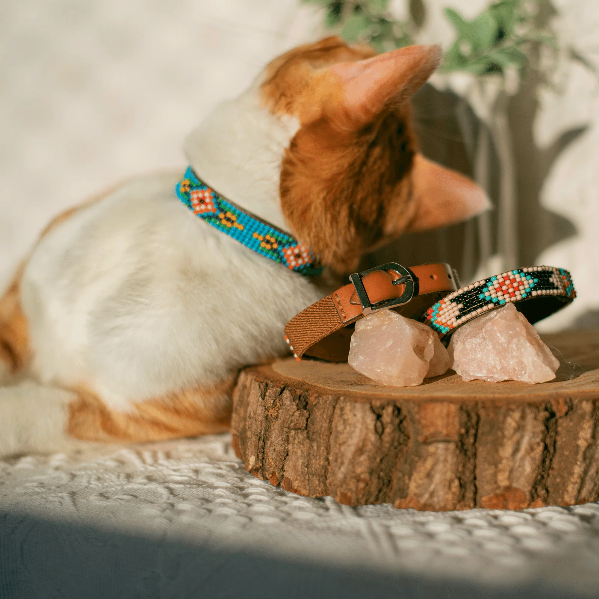 Blue Vogue Sambboho cat collar - Image 5