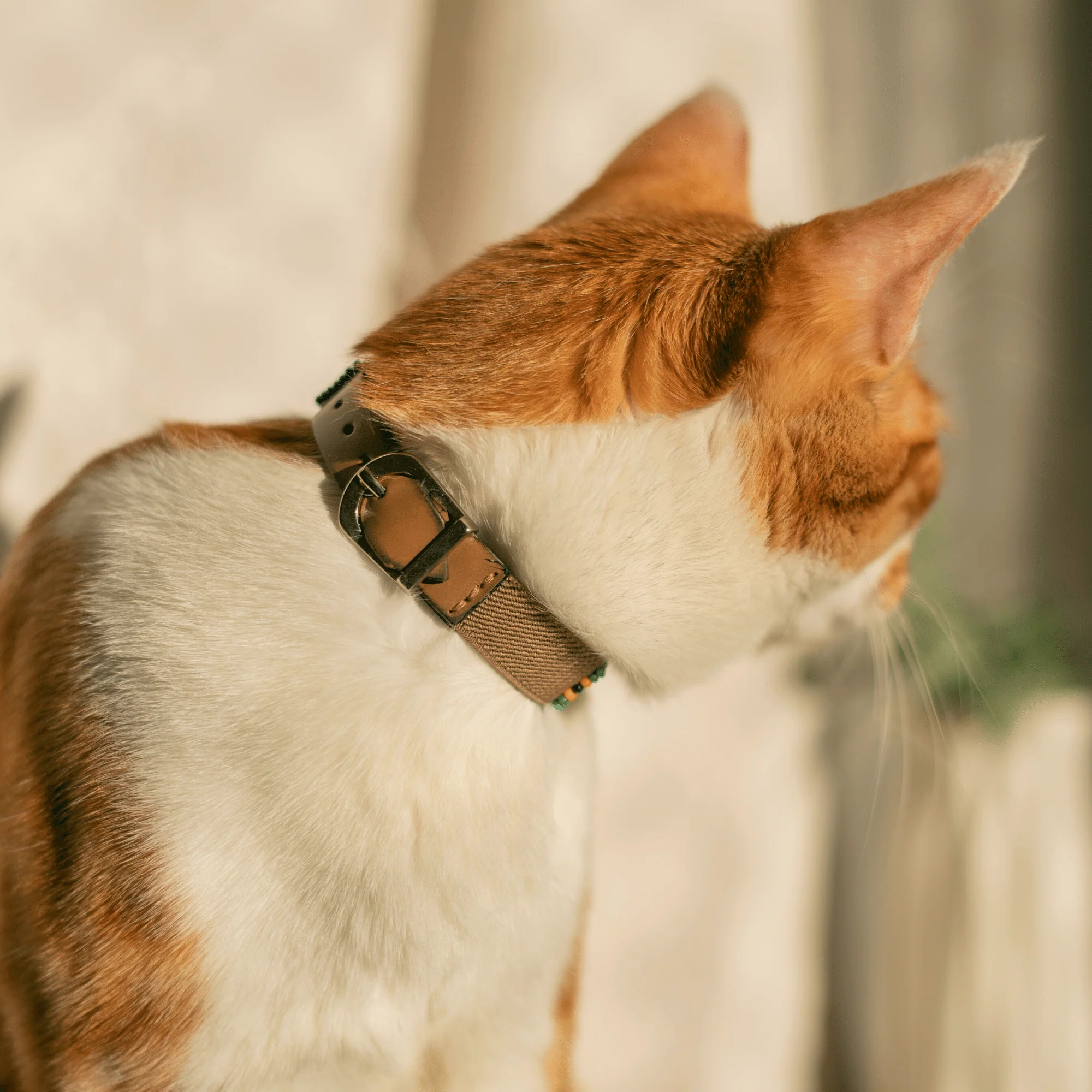 Blue Vogue Sambboho cat collar - Image 6