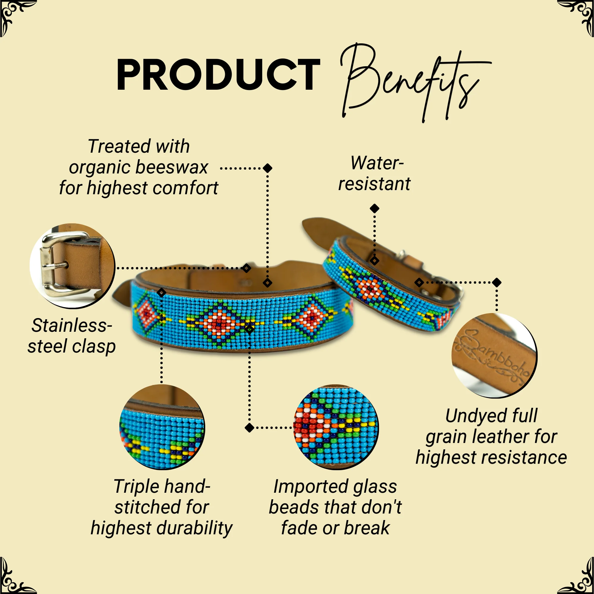 Blue Vogue Sambboho dog collar - Image 2