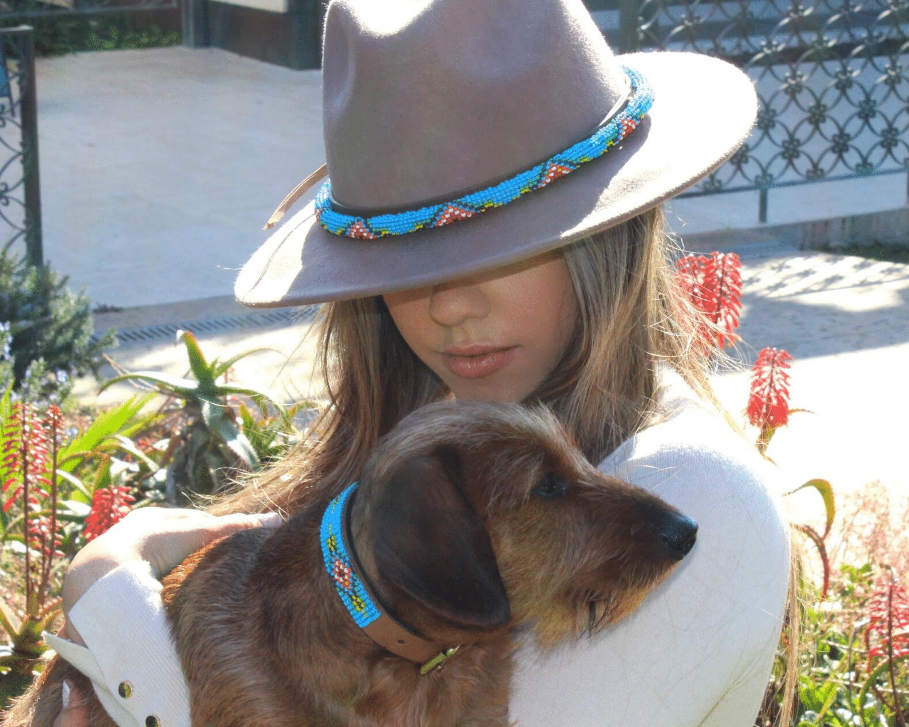 Blue Vogue Sambboho dog collar - Image 7