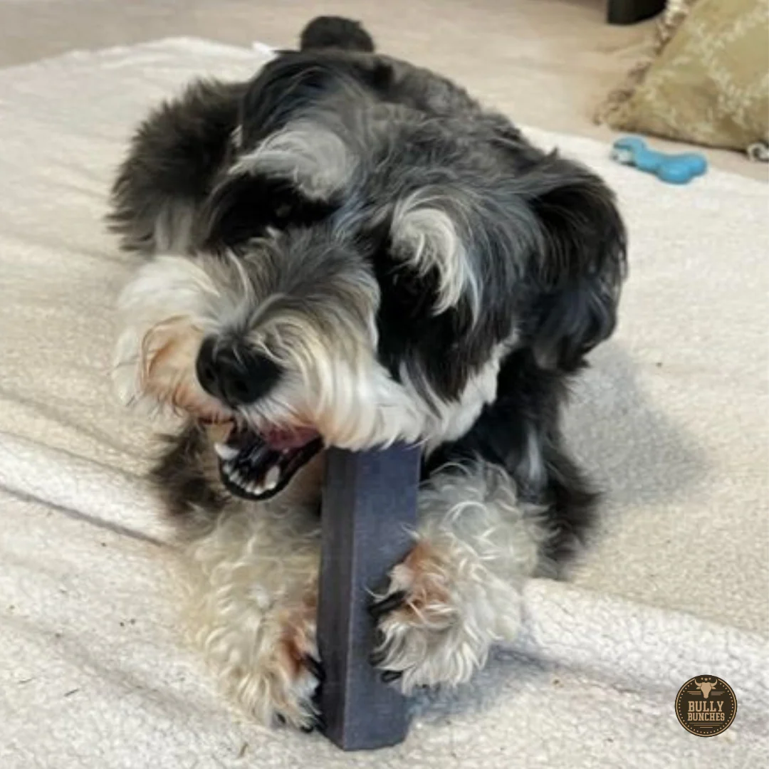 Blueberry Himalayan Yak Chew (MEDIUM) - Image 11
