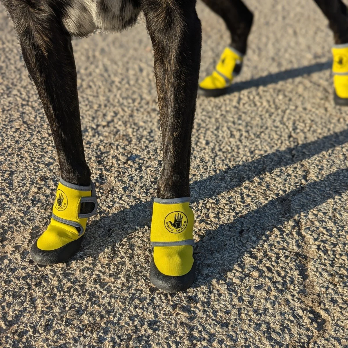 Body Glove Paw Protector Booties - Image 2