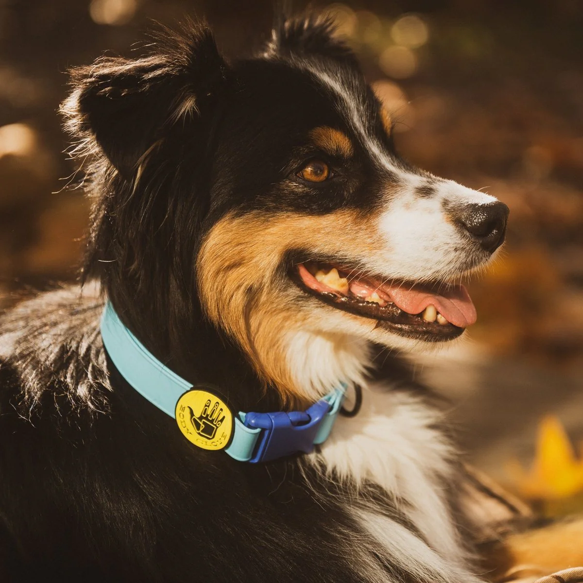 Body Glove Waterproof Dog Collar - Image 2