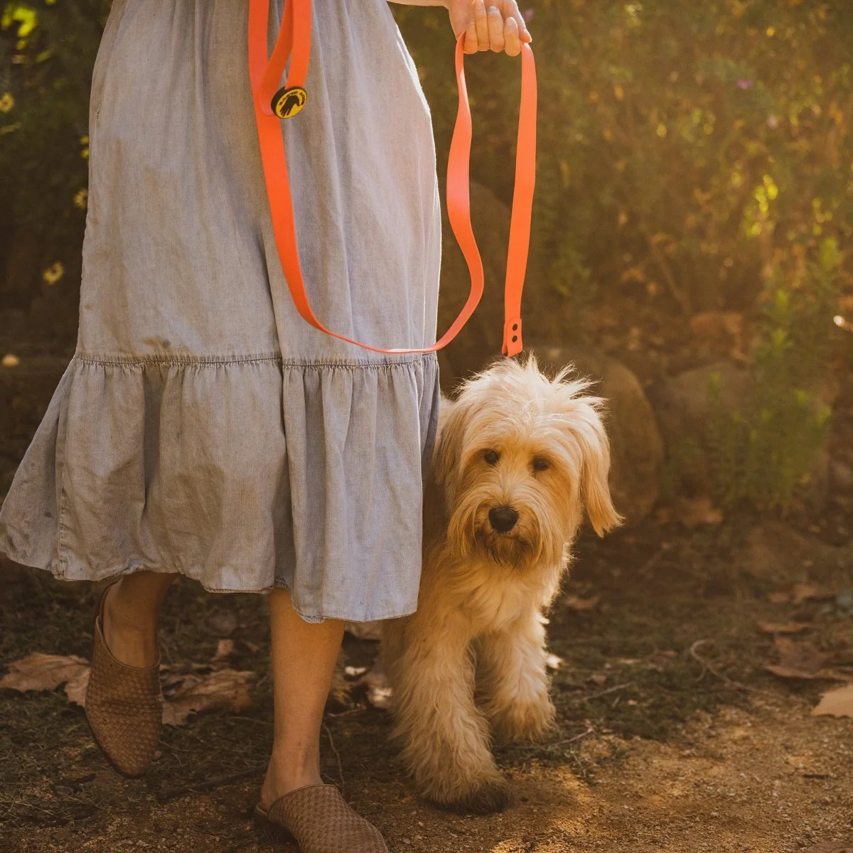Body Glove Waterproof Dog Leash - Image 10