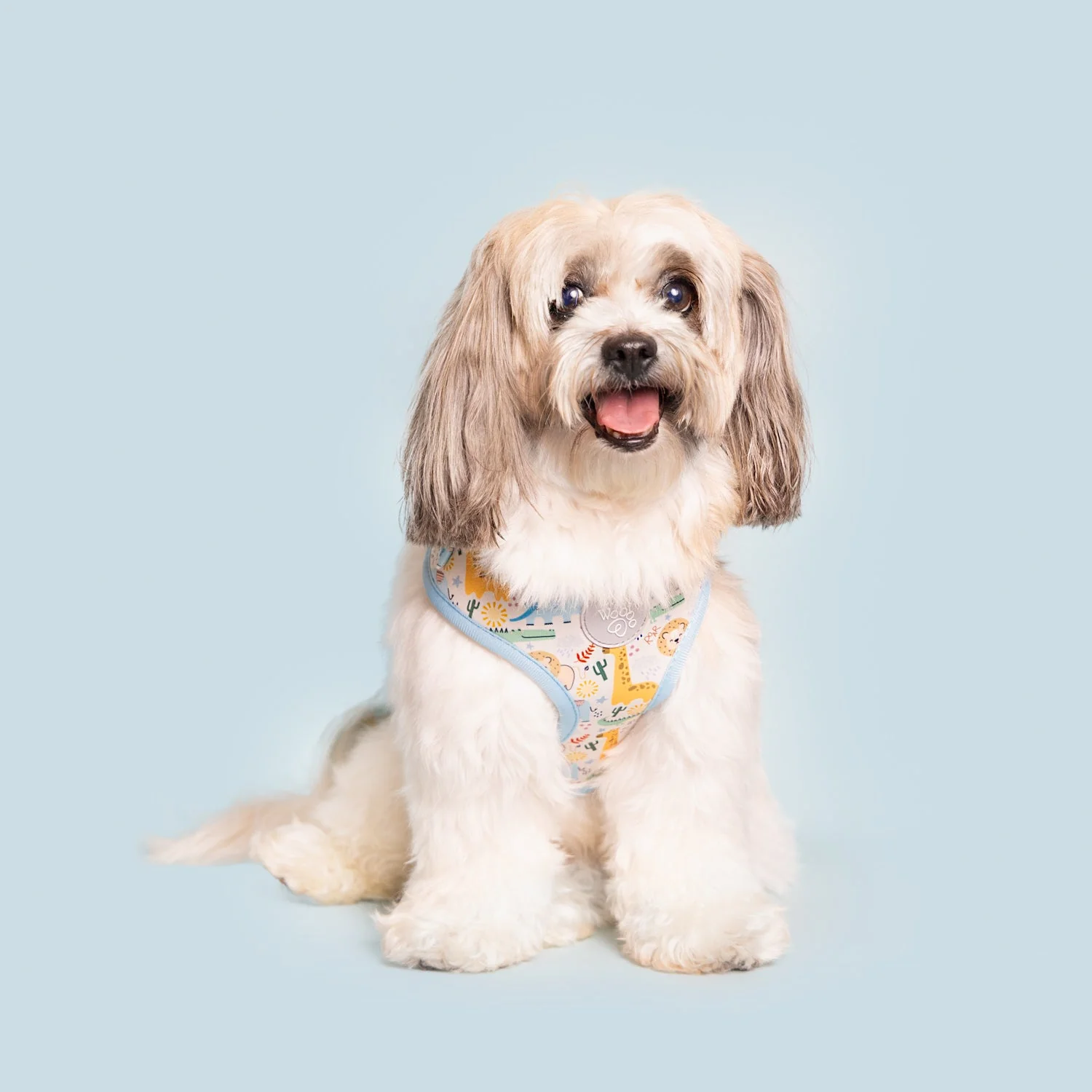 Boho Baby Adjustable Harness - Image 4