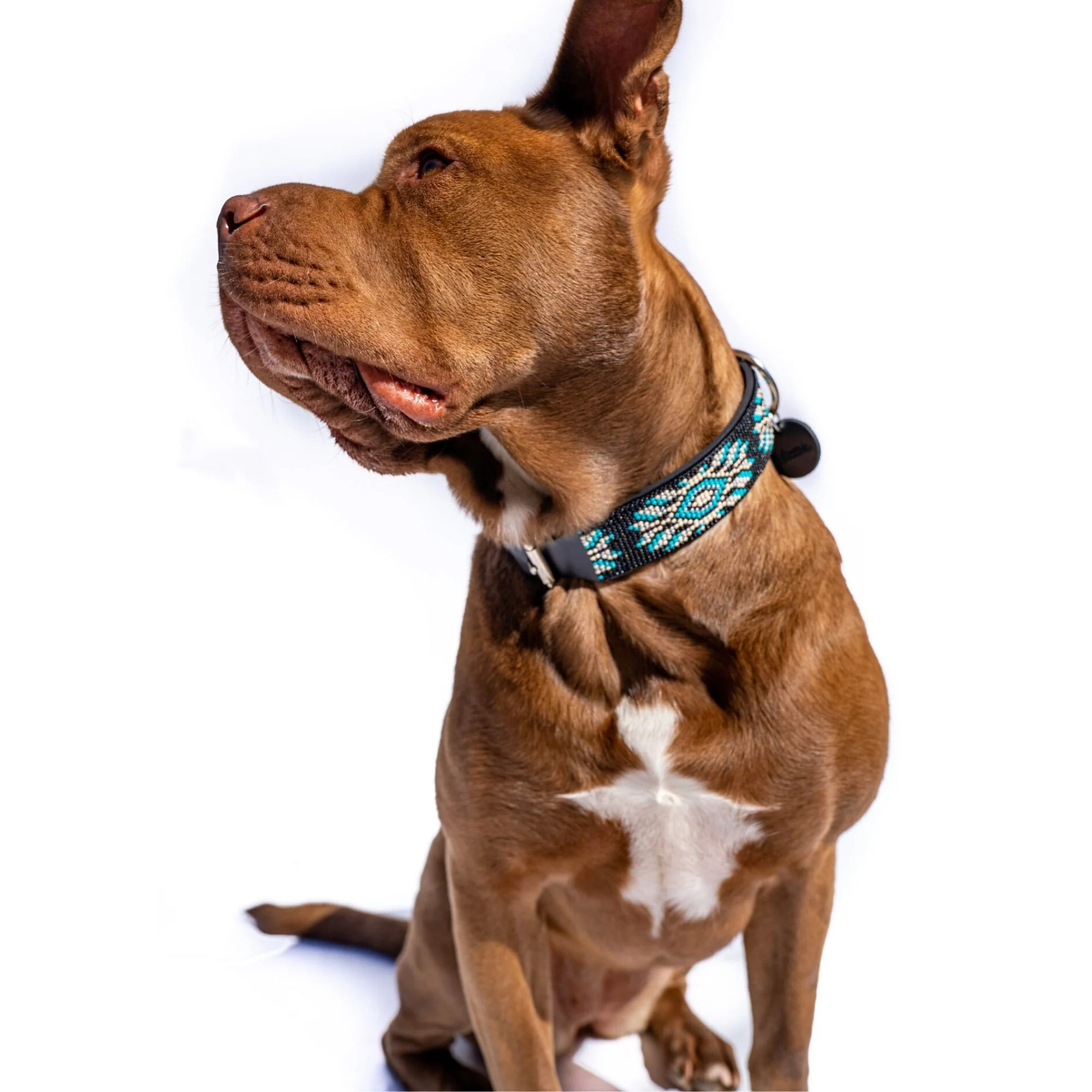 Bora Bora Sambboho dog collar (with center D-ring) - Image 4