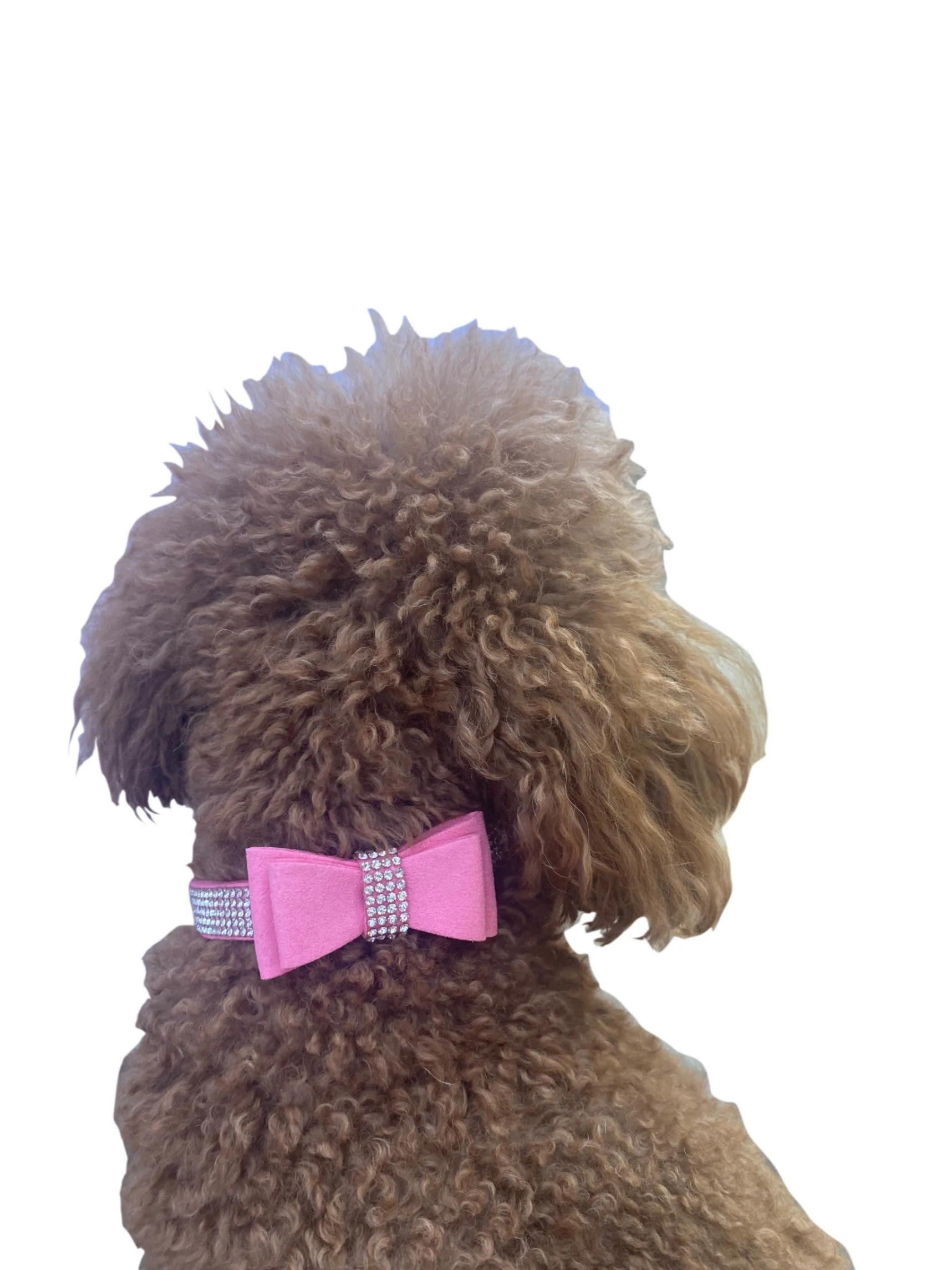 Bow Tie Dog Collar in Pleather, Pink - Image 2