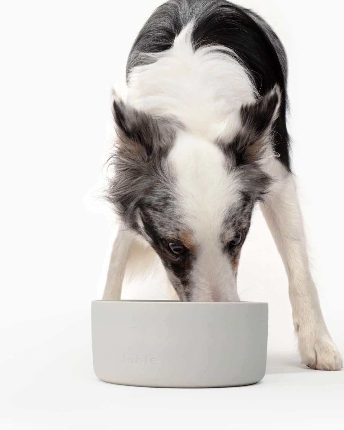 Bowl - Image 8