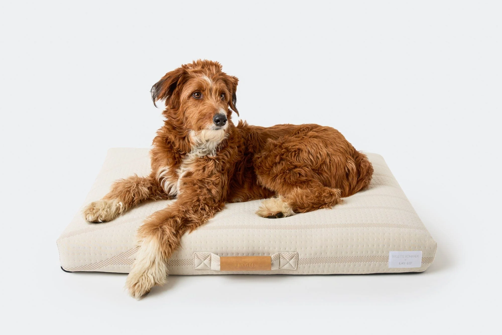 Brigette Romanek | Cream Dog Bed or Bed Cover - Image 2