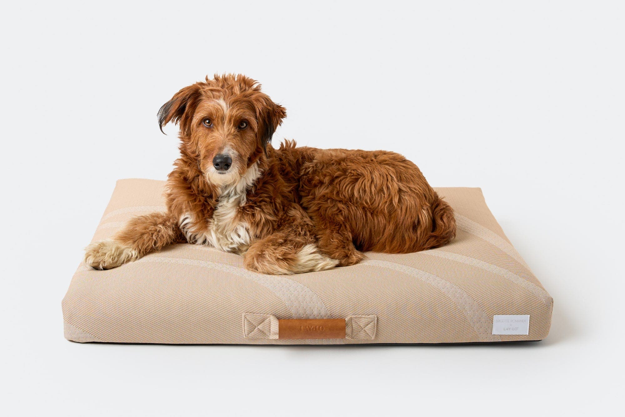 Brigette Romanek | Taupe Dog Bed or Bed Cover - Image 2