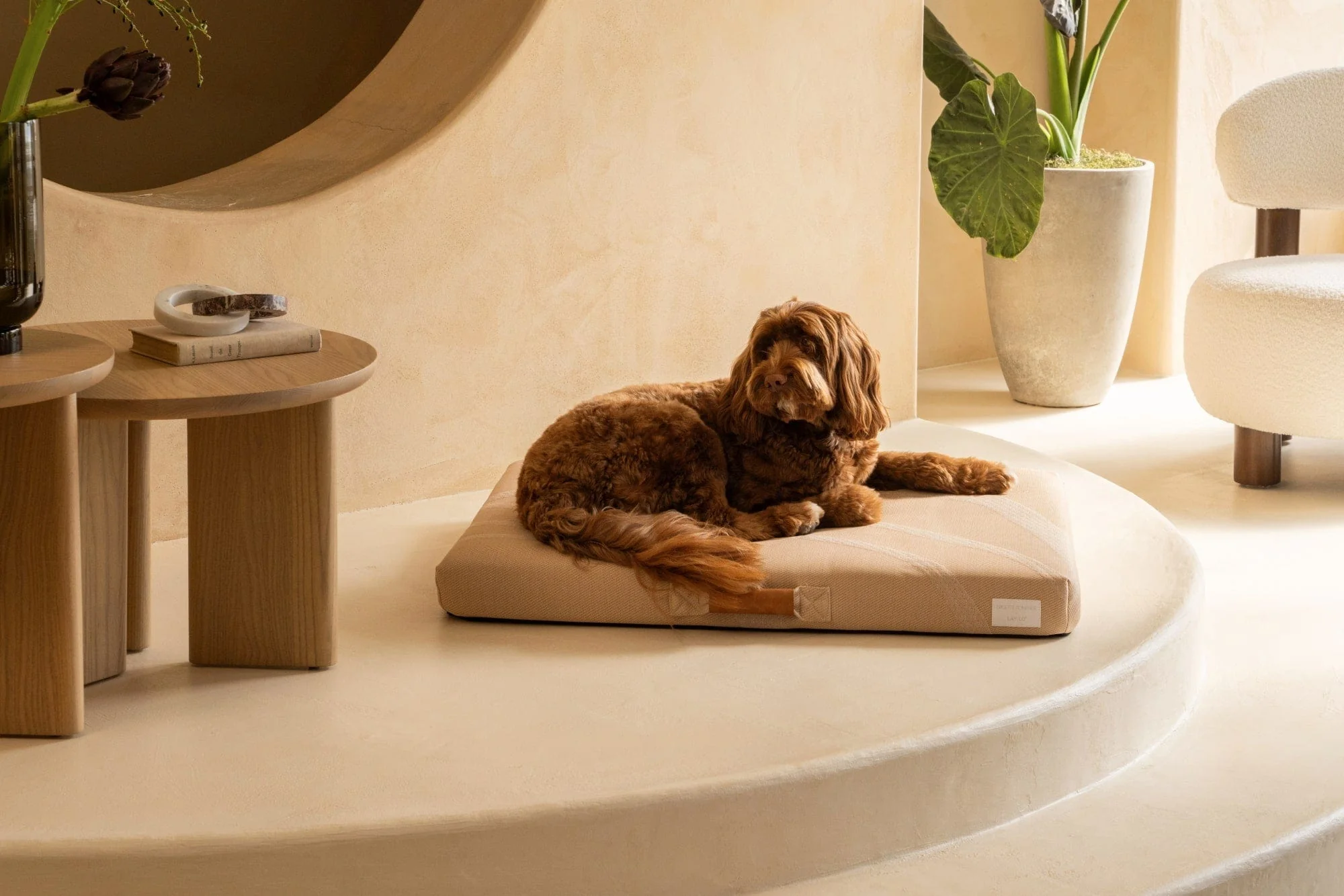Brigette Romanek | Taupe Dog Bed or Bed Cover - Image 4