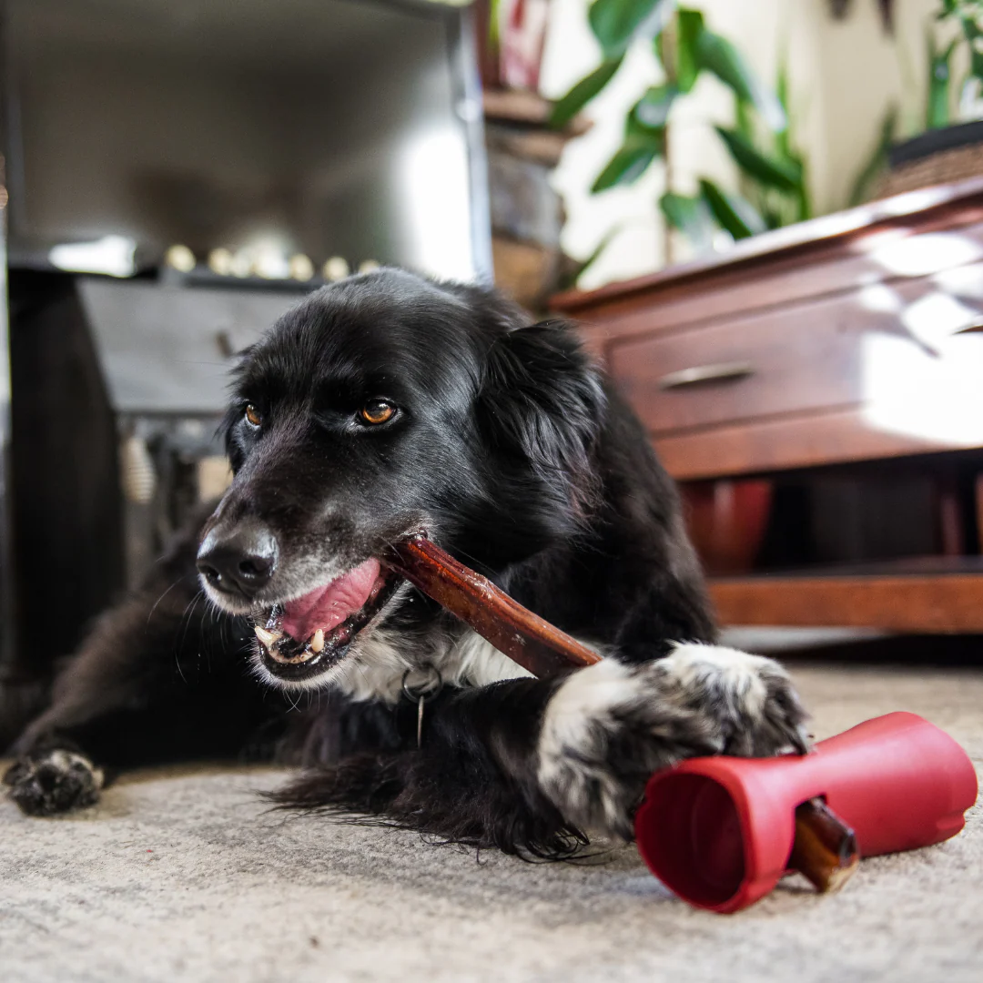 Bully Stick Safety Holder - Image 3