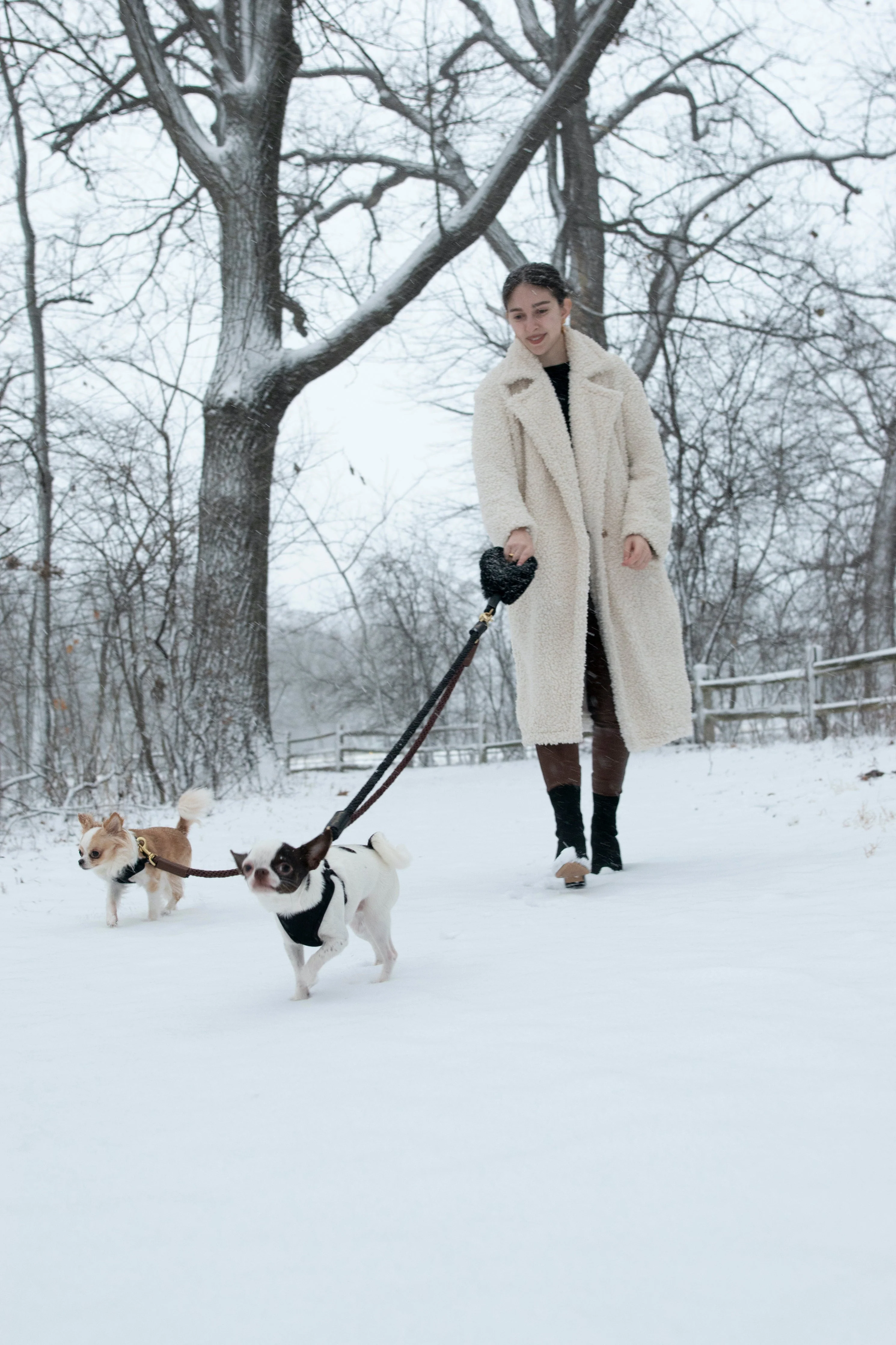 Bundle Shearling Fur Grip + Rope Leash for Dogs - Image 9