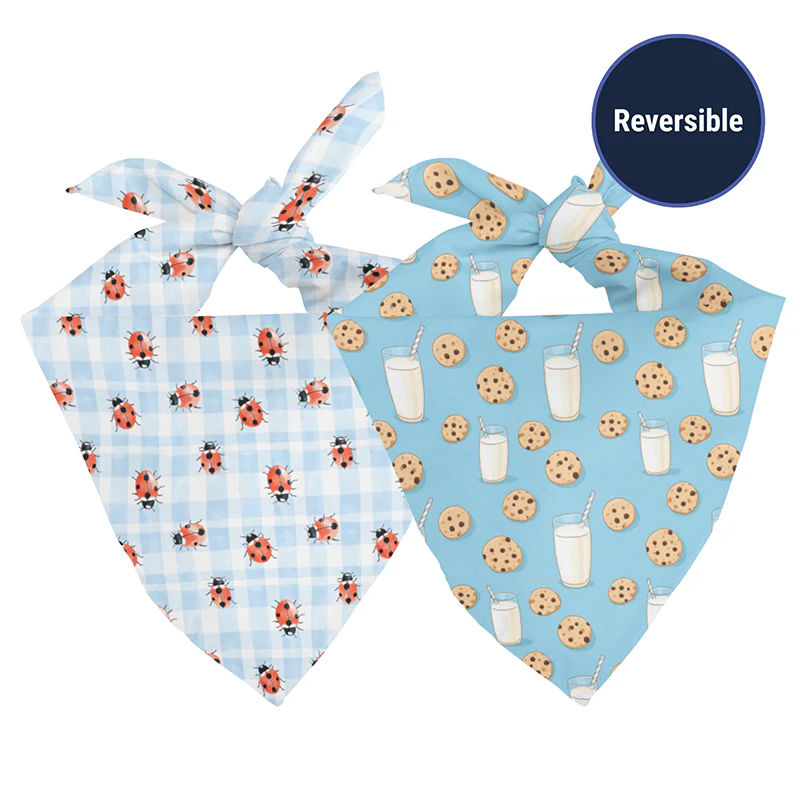 Buster's Bandana - Image 3